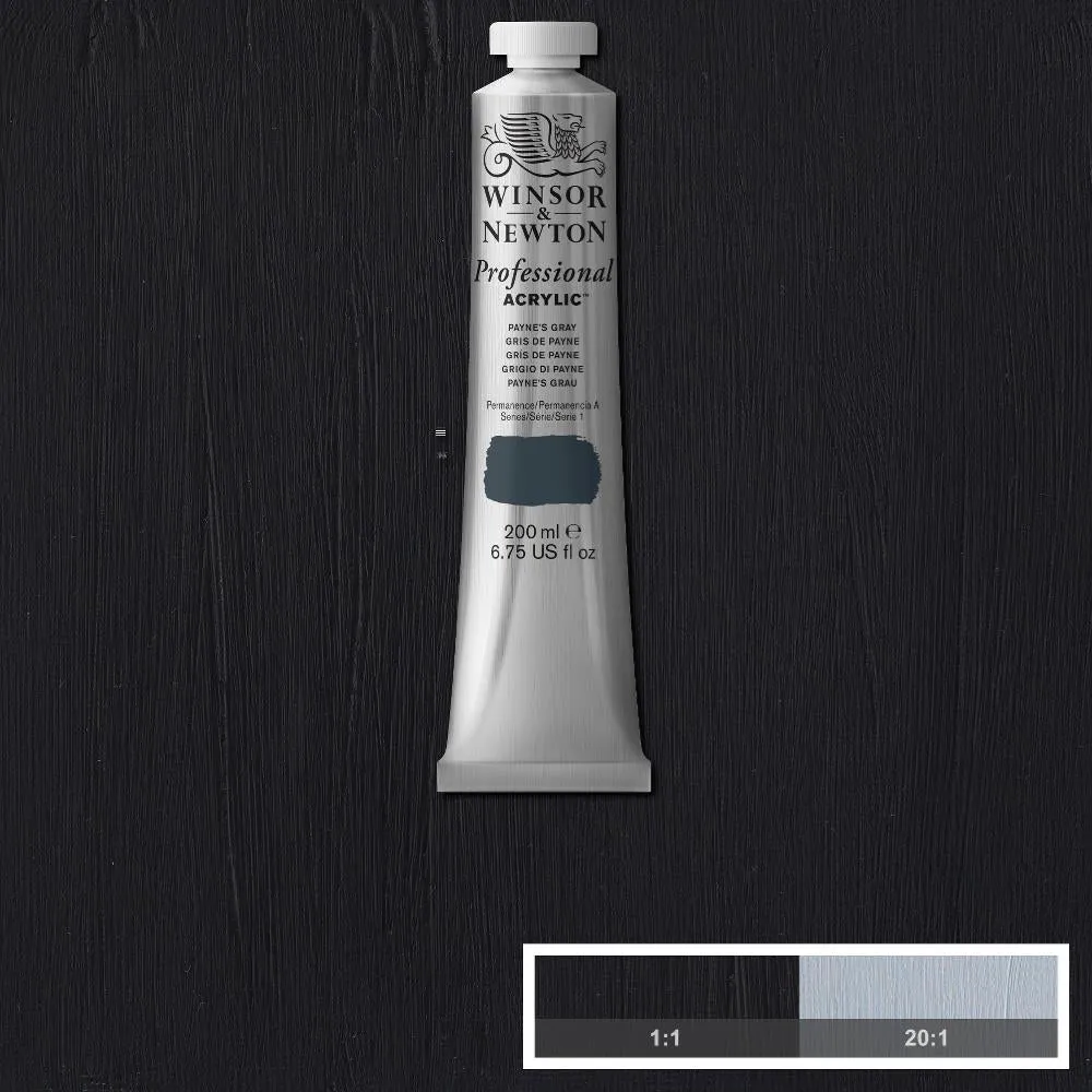 Professional Acrylic - Payne's Gray