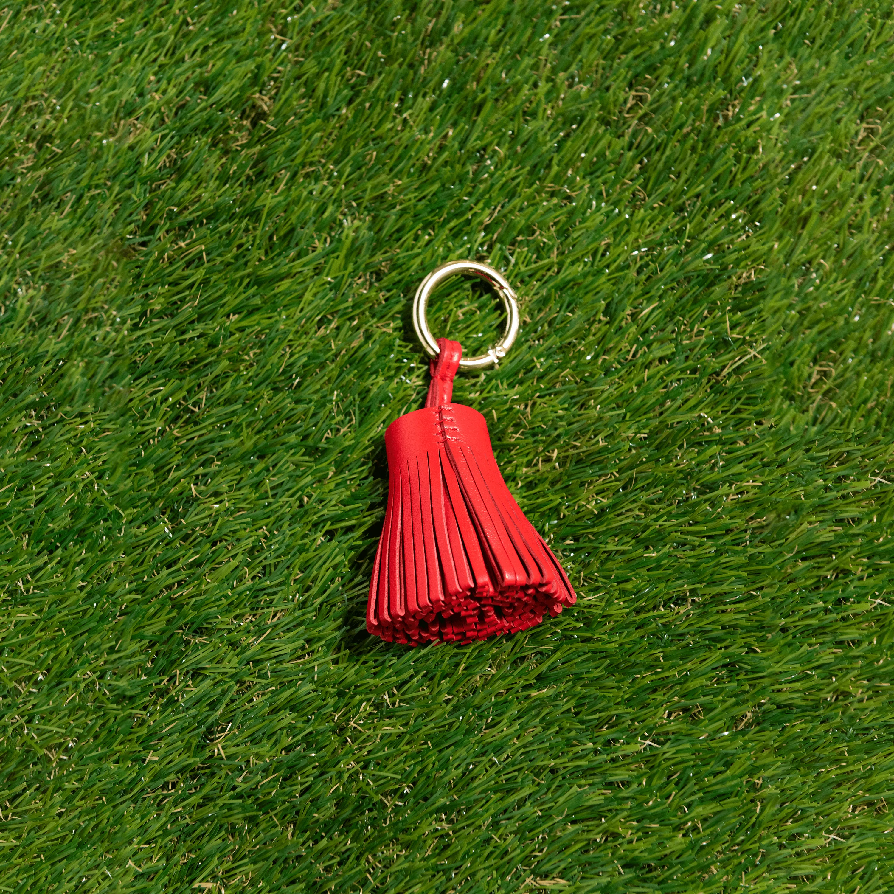 Red Leather Tassel