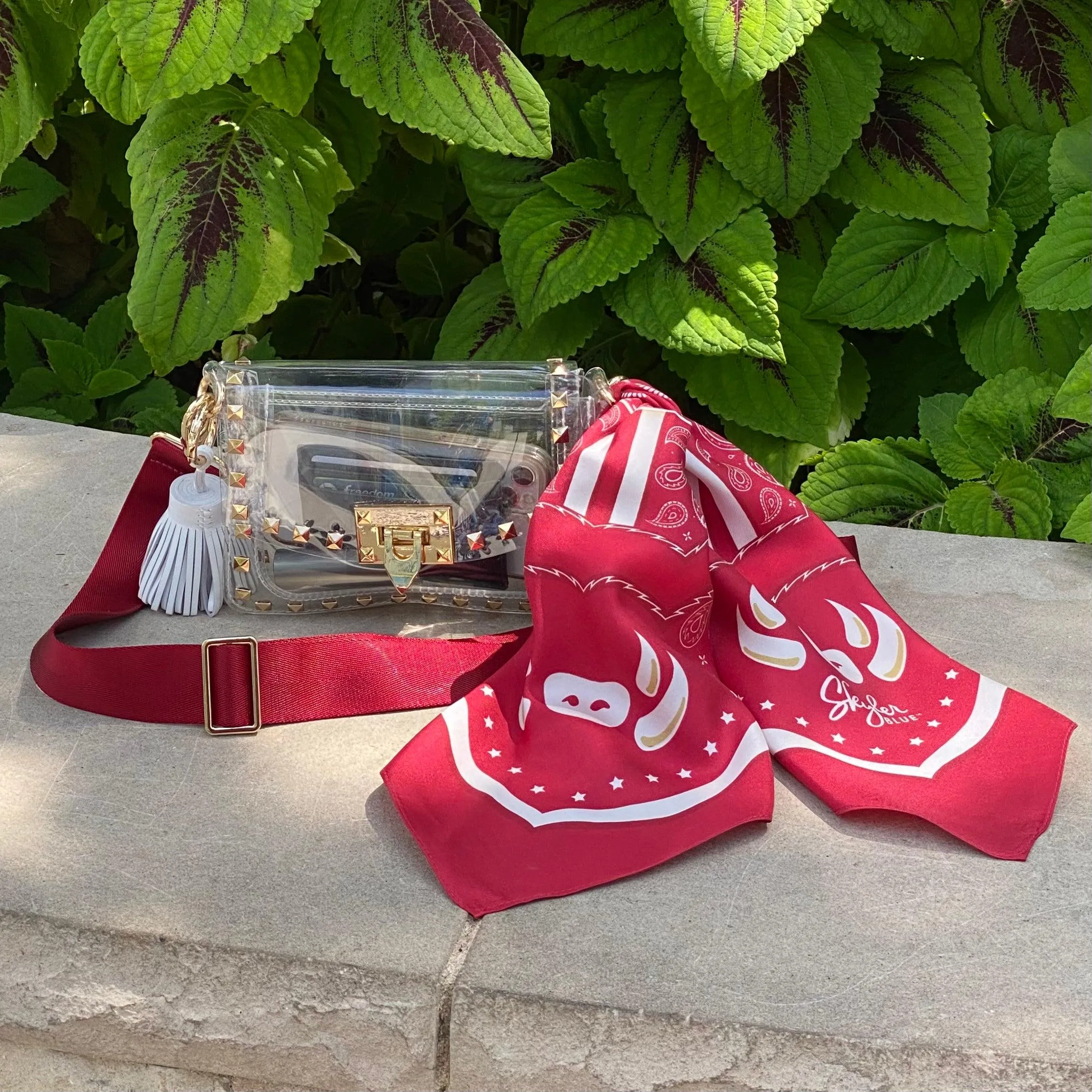 The Fayetteville Clear Small Studded Bag