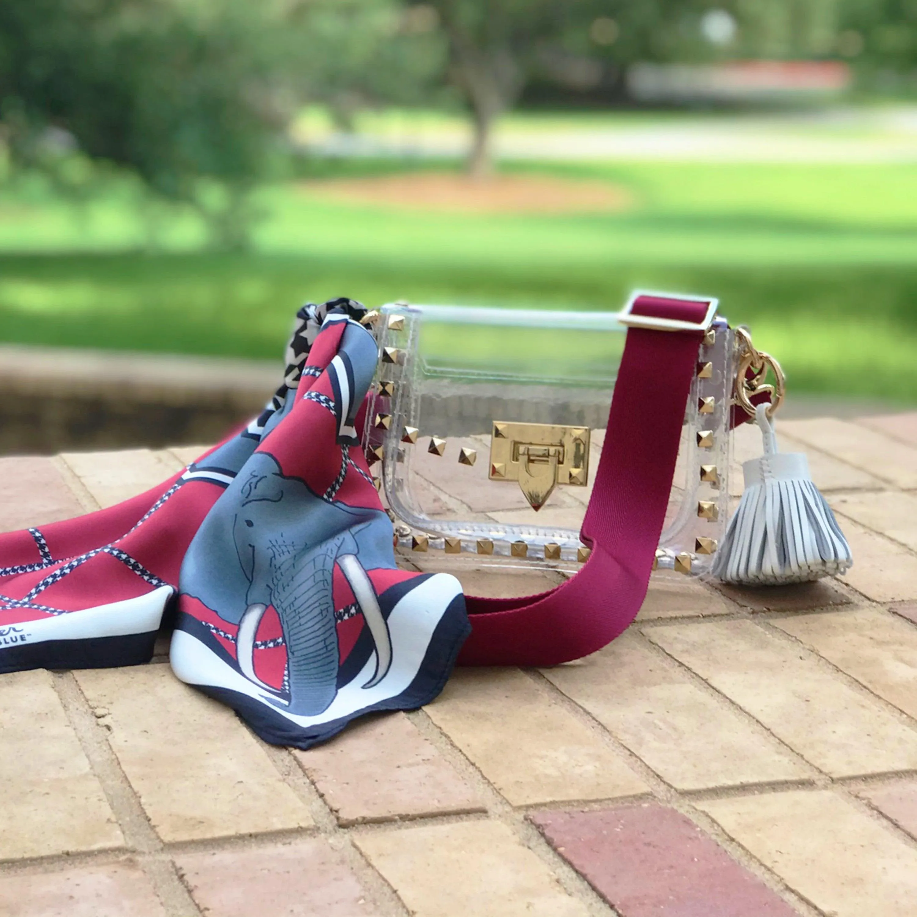 The Tuscaloosa Clear Small Studded Bag