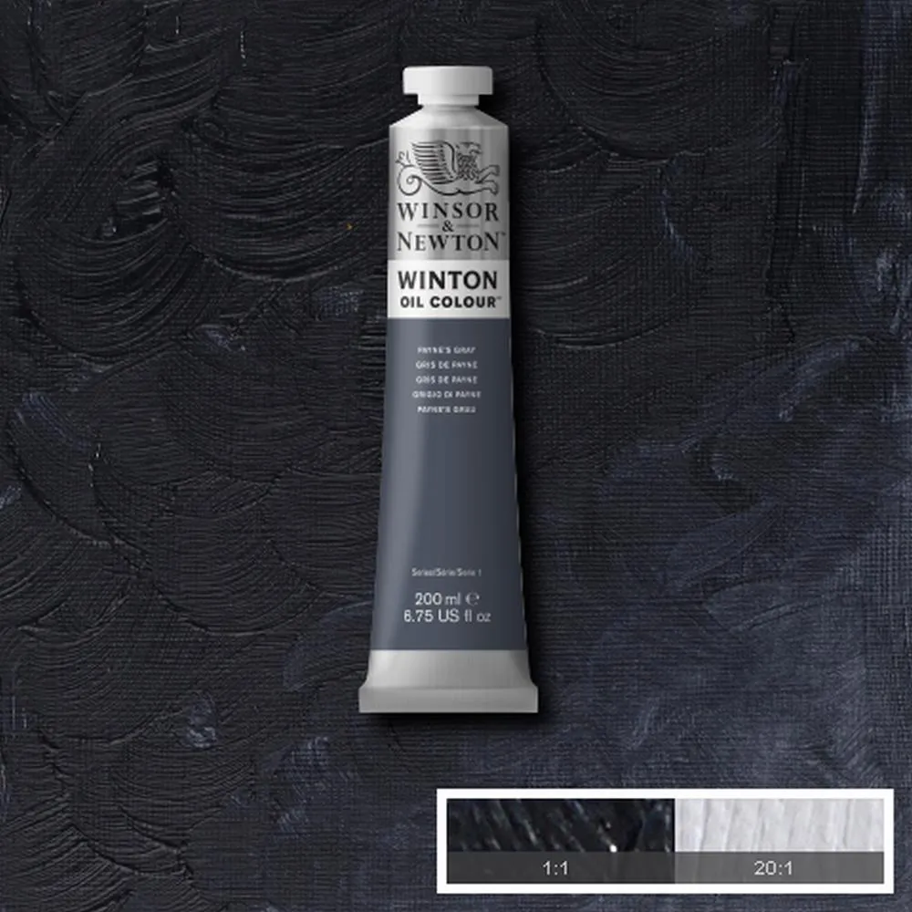 Winton Oil Colour - Payne's Gray